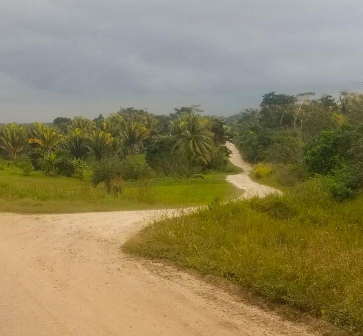 A turn off from the main dirt road to little a little dirt road that leads to the land. The parcel of land is not quite a mile away from the turn off.