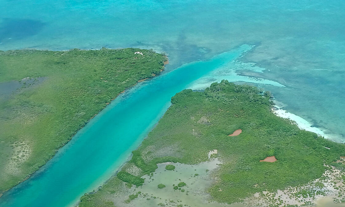 The views flying over the water are simply stunning.